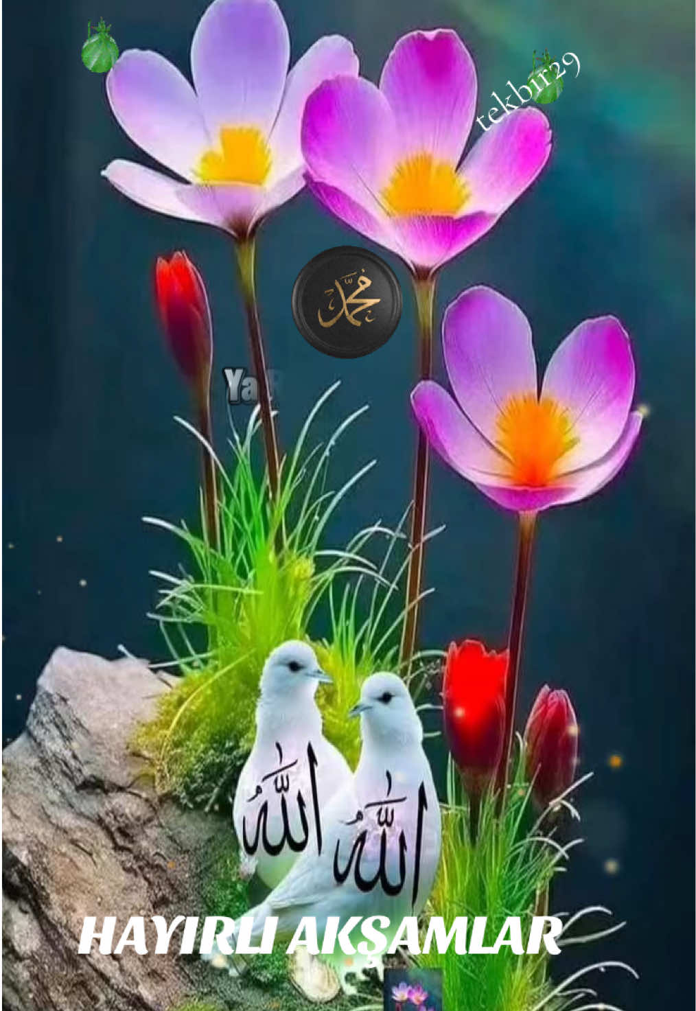 #viral_video_tiktok_treding 