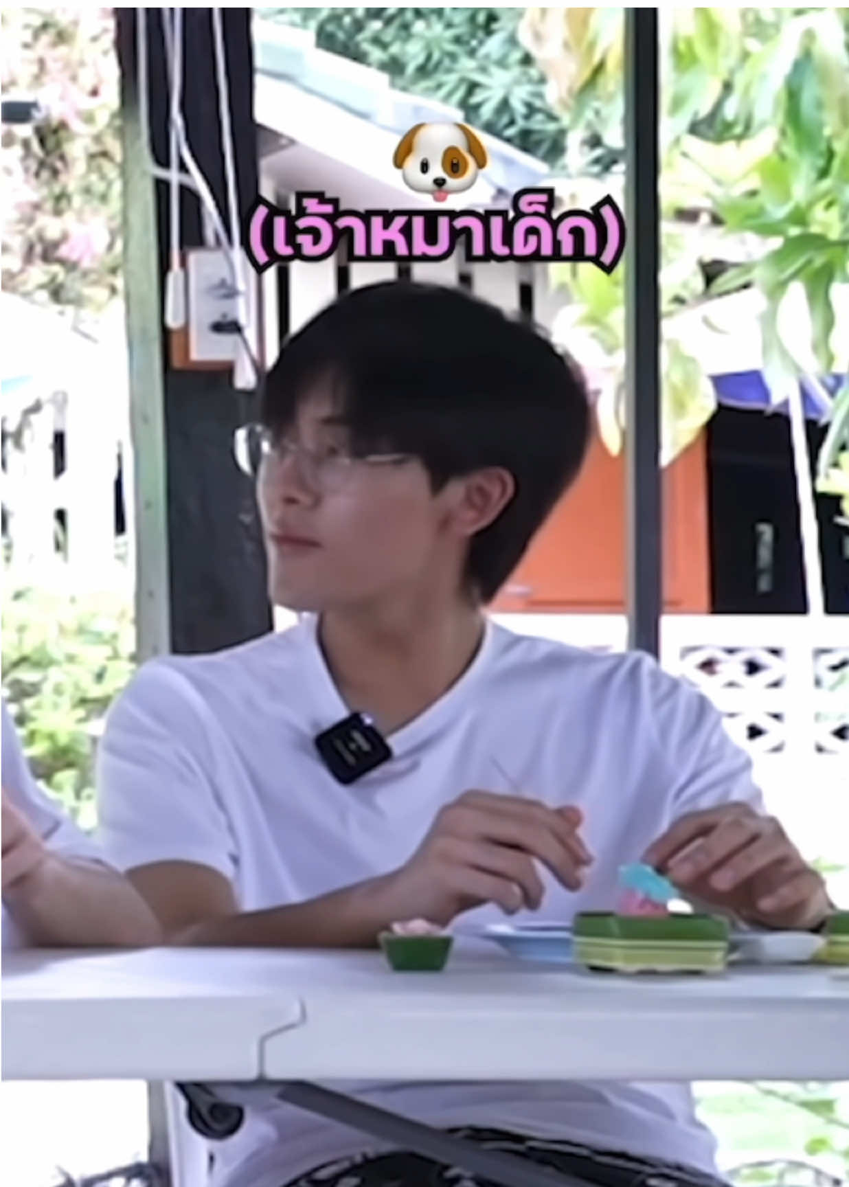 มอมแมมหมาเด็กก #กรกุน #gornkun 