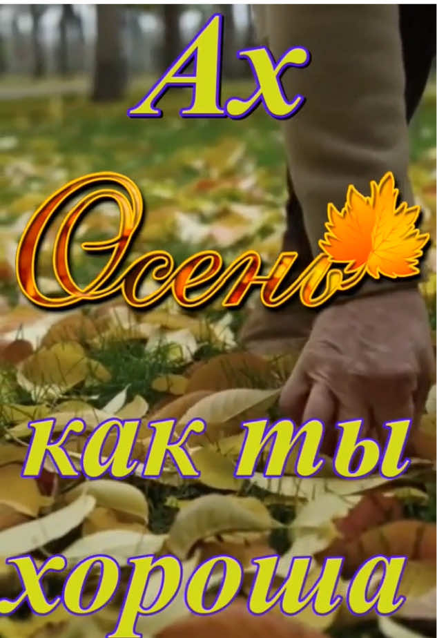 Ах осень, как ты хороша#осень#кактыхороша#золотаяосень#листья#дождь