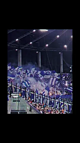Fanatycy Ruchu 🔵⚪️!!! #ruchchorzów #ruch #chorzów #ruchchorzow1920 #ruchchorzów🔝 