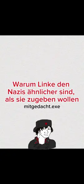 Warum Linke den Nazis ähnlicher sind, als sie zugeben wollen #deutschland🇩🇪 #politik #foru #antifa #deutsch 