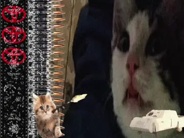 Test 7 