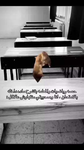 @{اَميرَة مَايْو }🌷. @نجمه وضوت في سماها(رهف)🌟. #الشعب_الصيني_ماله_حل😂😂😂 #الشعب_الصيني_ماله_حل😂😂😂 #explore #explore #libya🇱🇾 