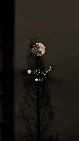 12 Rabi-Ul-Awal Special 🥰😘🦋🥹🫶😇 | WhatsApp Status 🥰 | Eid Milad-Un-Nabi ﷺ Mubarak 🥰 . . . 🌙✨ 12 Rabi-Ul-Awal Mubarak 🌸 This is the blessed day when our beloved Prophet ﷺ came into this world 💚 Let’s fill our hearts with love, noor, and durood 🌹 Drop a ❤️ if you love Nabi Kareem ﷺ 🥰🦋 . . . #12RabiUlAwal #EidMiladUnNabi #RabiUlAwal #MiladUnNabi #islamic_editx_1million 