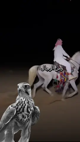 #أكسبلور_شعر_حكم_خواطر 