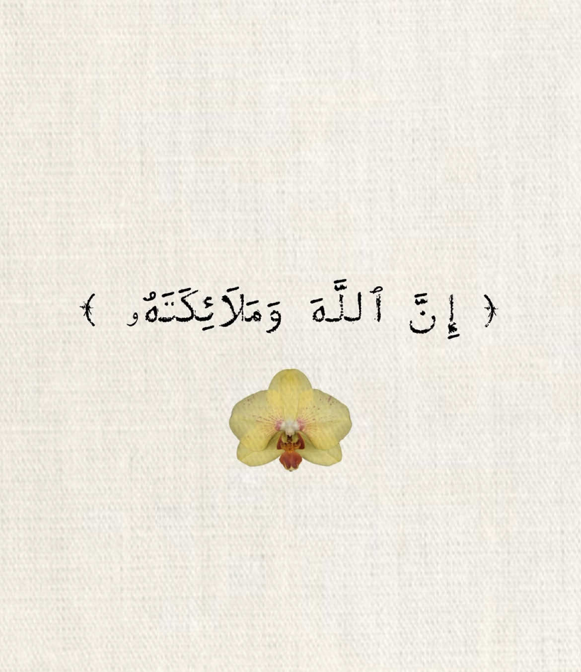 ‏اللَّهُمَّ صَلِّ وَسَلِّمْ عَلَى سَيِّدُنَا مُحَمَّد♡  #اجر #قران_كريم #اجر_لي_ولكم #اجر_لي_ولكم_ولوالدينا_وللمسلمين #القران_الكريم #تلاوات_قرآنية #اذكروا_الله #ماهرالمعيقلي 