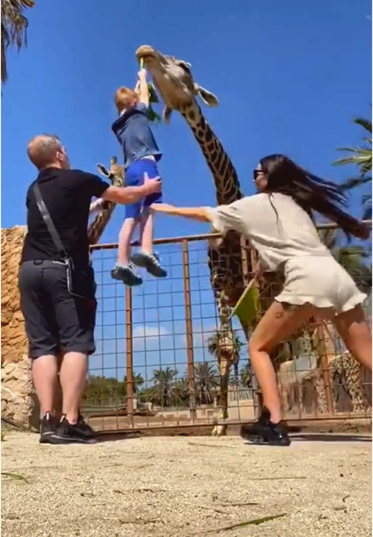 Kid's funny moments at the zoo 🤣 Get ready to laugh hard with the funniest TikTok clips on your feed! From hilarious POVs and caught-on-camera funny moments to funny animals, adorable babies, pranks, and meme-worthy fails — it's non-stop comedy for all ages. Try not to laugh? You'll fail. #funny #foryou #baby #kids #funnykids #viral #funnybaby #funnybabyvideos #funnykidsvideo #funnyvideos2025 #xyzabc #viral_video #trendingvideo #xyzbca #forupage #foryoupage #fyp #fypシ #fypシ゚viral  #viralvideos #goviral #foryoupage #foryou #tiktokviral #funnybabiesvideos #babies #kids #funnybabies #funnybabiesoftiktok #funnyvideosforlaugh #kidsfunnyvideos #kidbabyvideo #kids #funnyvideos #funnyvideoslaughhard #funnycaughtoncamera #funnypovvideos #funnyanimalvideos #funnydogsvideo #funnymemesvideos #funnybabyvideos #funnyvideosforkids #funnyvideostiktok #funnyvideostrending2025 #funnypranks #funnyvideoscomedy #funnyvideoshumor 