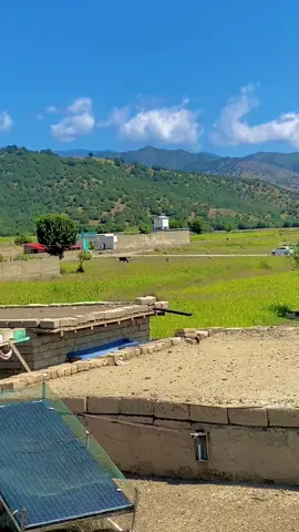 #ویرستان دہ پختون  واطن دی