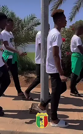 #lesaiglesdumali🇲🇱 