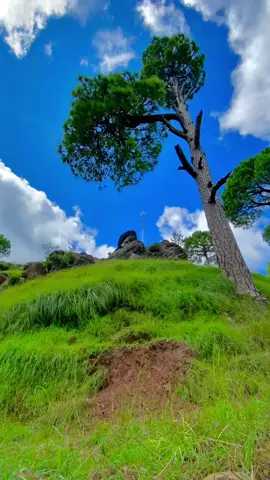 وہ محبت ہی نہیں،❤️‍🔥 Dhanoi_Hill’s,Kotli sattian.#foryou #foryoupage #moinsatti1 #trending #fyp 