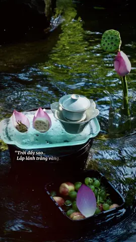 #CapCut Vu Lan nguyện cầu #nhactamtrangbuon1233 #tamtrang #nhactamtrang #nhachaymoingay #vulanbaohieu 