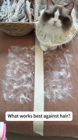 If you have pets and they shed at all,this will save you SO much time #cathairremoval #cathair #cathaireverywhere #pethair #petproducts 