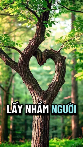 Nếu bạn lỡ lấy nhầm người, muốn ly hôn nhưng lại không muốn bỏ con thì phải làm sao? #nhanvuive #cuocsonggiadinh 