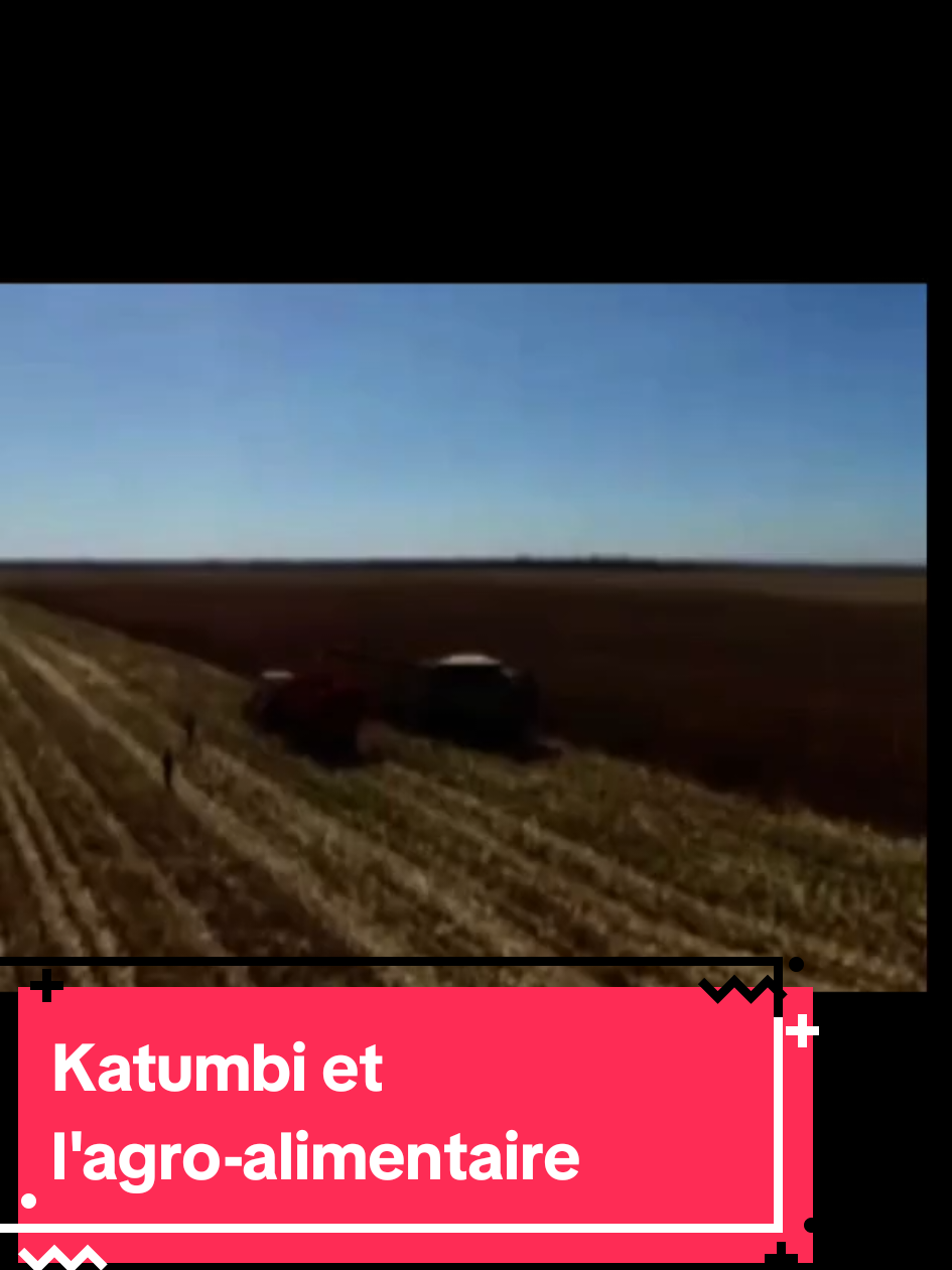 Initiateur du “cuivre vert” en #RDC pour dire l'agriculture, #moisekatumbi a convaincu les entreprises minières à cultiver pour contribuer à l'autosuffisance alimentaire, #KatumbiEnAction,il a installé la grande minoterie d'Afrique Centrale produisant 12 000 sacs de 25 Kg/jour #Katumbi #cuivre #agriculture #RDC 