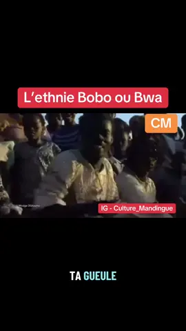 Les Bobo ont souvent résisté à l’expansion des royaumes et empires voisins (Mossi, Mali, etc.), préférant garder leur autonomie villageoise. Ils ont longtemps été préservés d’une islamisation massive, contrairement à leurs voisins mandingues. La colonisation française a introduit des changements (routes, cultures de rente, administration), mais beaucoup de Bobo ont conservé leurs traditions.