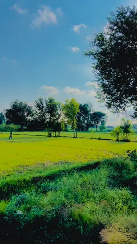 Zindagi ko Jiyo Allah pak Ke taur tarike ki Amal pe#viralvideo #trandingvideo #please #100kviews #viralvideo 