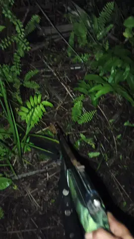 #hutankalimantan 