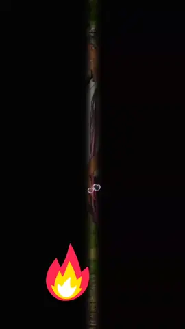 #fyyyyyyyyyyyyyyyyyyyyyypppppppppppppp #massfollowing #viraltiktok #treanding 