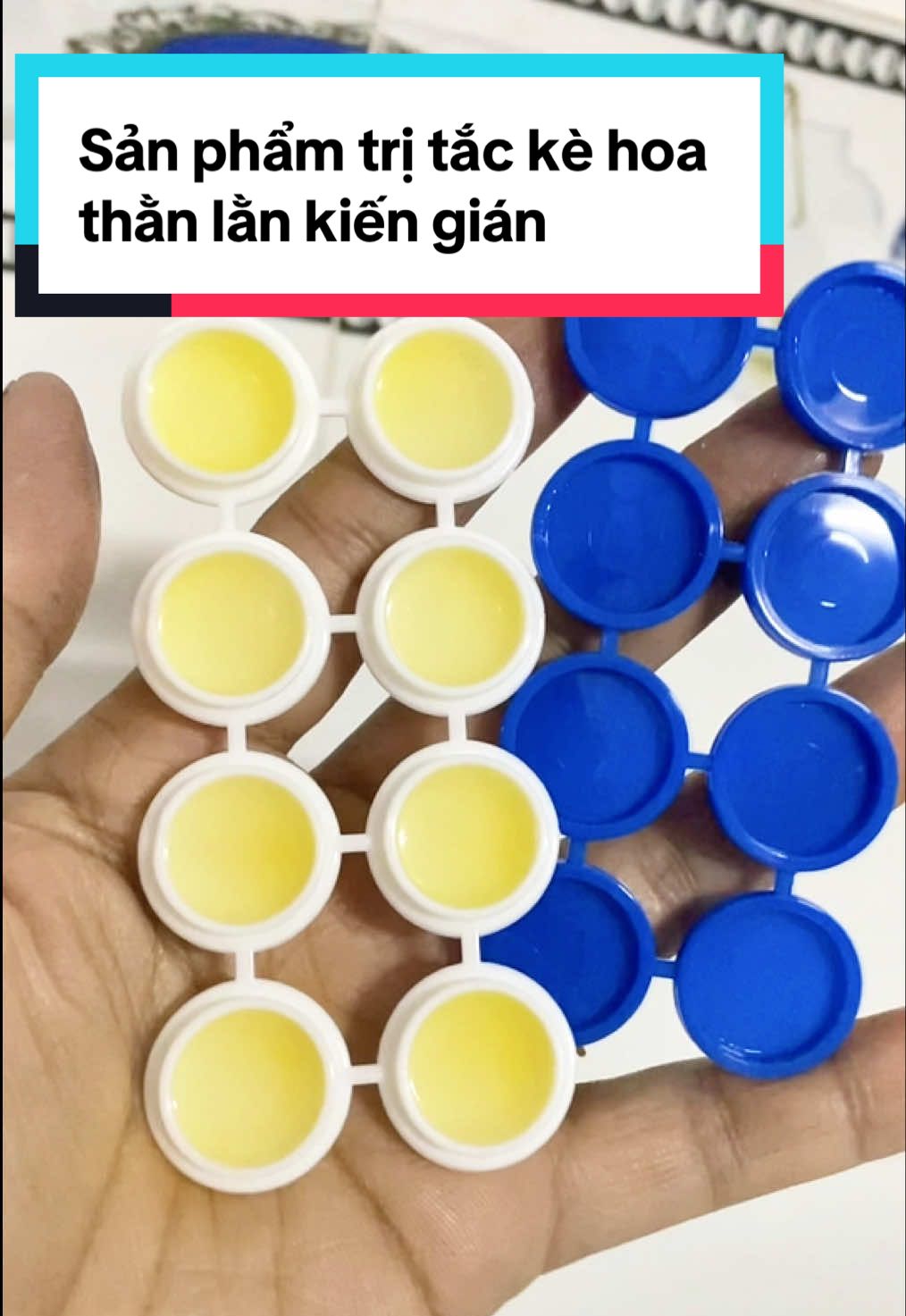 Thuố.c diệ.t  tắc kè hoa ,thạch sùng,kiến gián hiệu quả 5 năm #oanhmepo #xuhuớng #thuocdietthanlan #thuocdietcontrung #thuocdietkien 