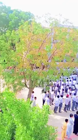 #Collage #fyppppppppppppppppppppppp #fyp #video #viral 