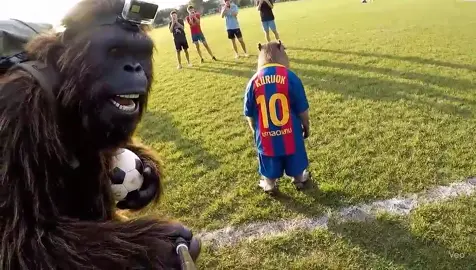 La Capi en la cancha jajaja #bigfoot #bigfootblogs #carloseduardoespina #carlos #creadoresdecontenido @Carlos_Eduardo_Espina 