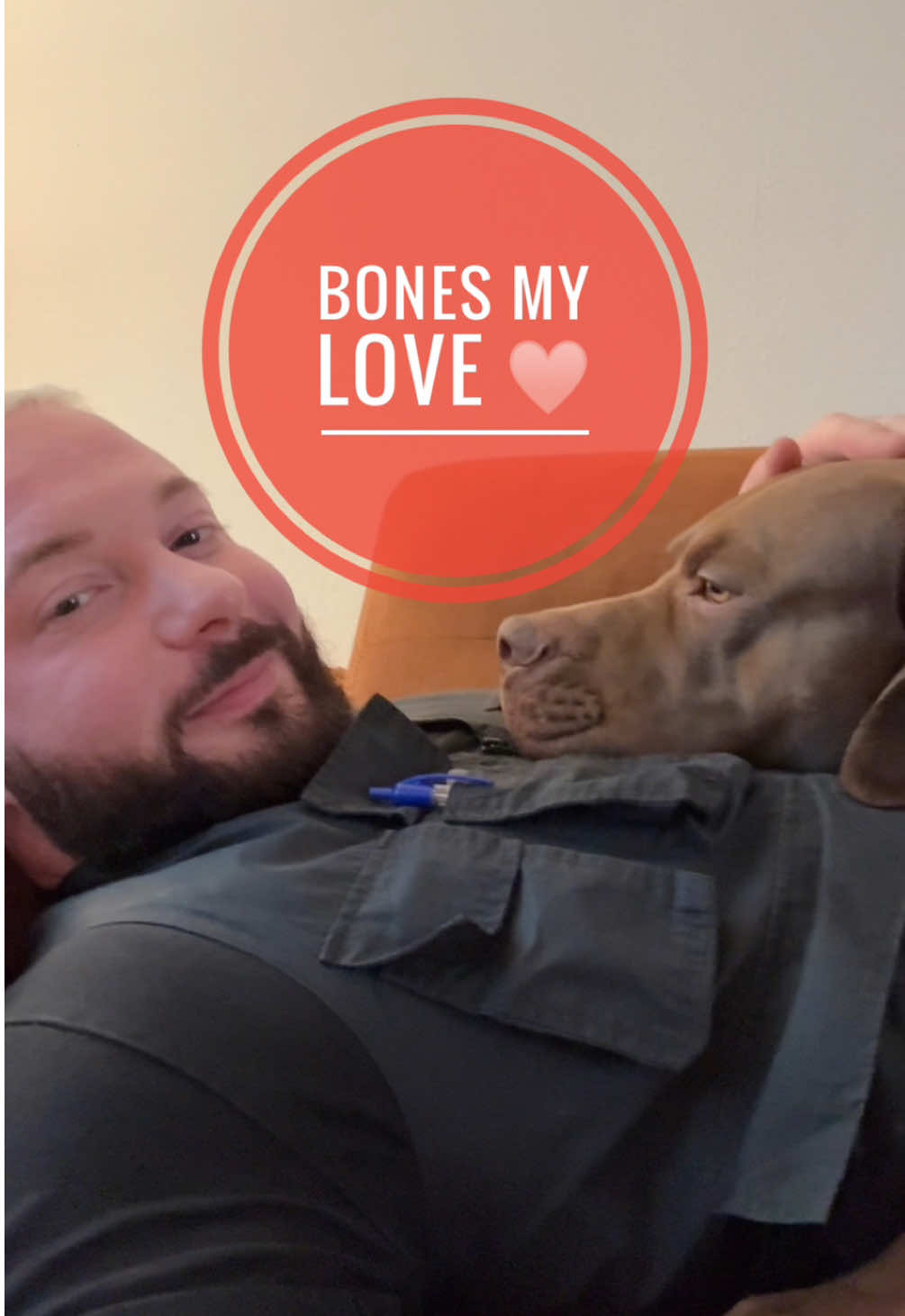 🐾 Bones ist nicht nur ein Hund – er ist mein Sohn 👨‍👦, mein bester Freund 🤝 und der Frieden in meiner Seele 🕊️. In seinen Augen 👀 finde ich Ruhe 🌌, und in seiner Nähe fühle ich mich vollkommen ❤️. 🐶 Hunde sind die loyalsten und treuesten Lebewesen dieser Welt 🌍. Ihre Liebe ist rein 💎, ehrlich ✨ und unerschütterlich 💞 – ein Geschenk 🎁, das unbezahlbar ist. Die Verbindung zwischen Mensch und Hund 🤎🐾 ist einzigartig. Ein Blick 👁️, eine Berührung ✋🐾, ein gemeinsamer Moment ⏳ – all das zeigt, was wahre Liebe bedeutet 💖. Es ist das Schönste 🌹 und Wertvollste 💫, was das Leben uns schenken kann 🙏. #foryou #asmr #animal #chiropractortiktok #hundeauftiktok 