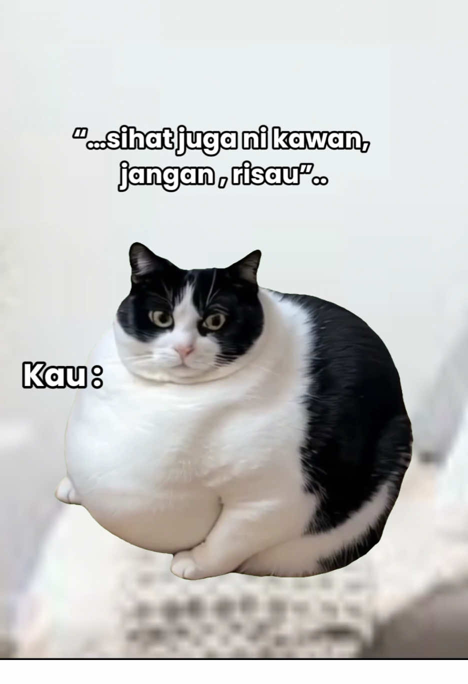 Malas sa kena tanya sekarang ni pasal profile picture 🙂🥴 #memes #justforfun 