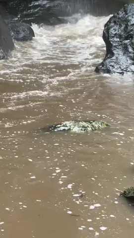 Maaf ya bikin gaduh 1 Indonesia 😭😭 gue juga gatau Anjay itu ular apa batu kemarin, mana viral 😭😭 Kayanya emang Batu di airterjun ini Emang mirip2 corak ular deh 😭😭#ularphyton #sekumpulwaterfall 
