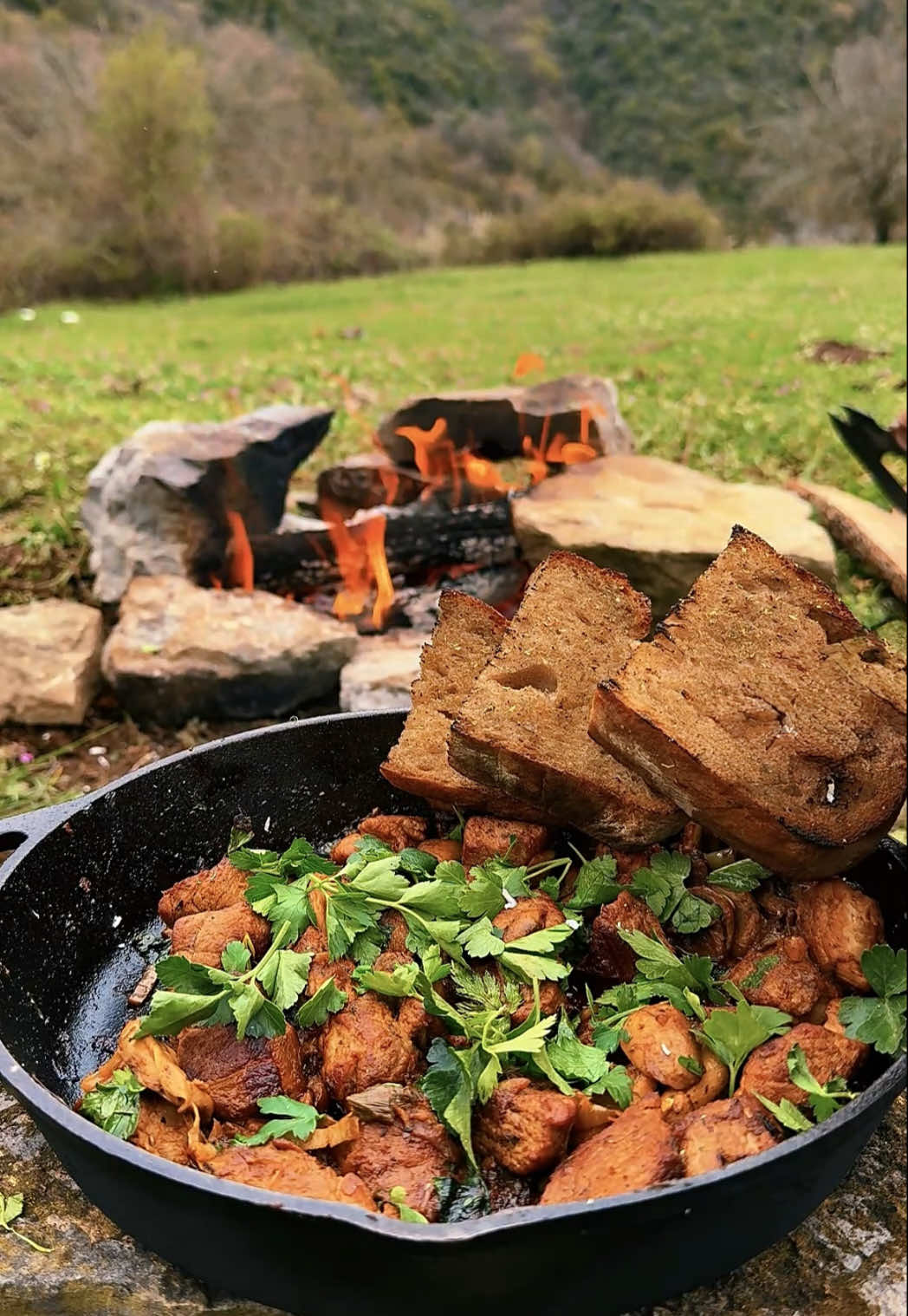 Χοιρινή τηγανιά 🔥🥩🪓 • Greek pork stir-fry #outdoorcooking #Outdoors #wilderness #pork #stirfry 