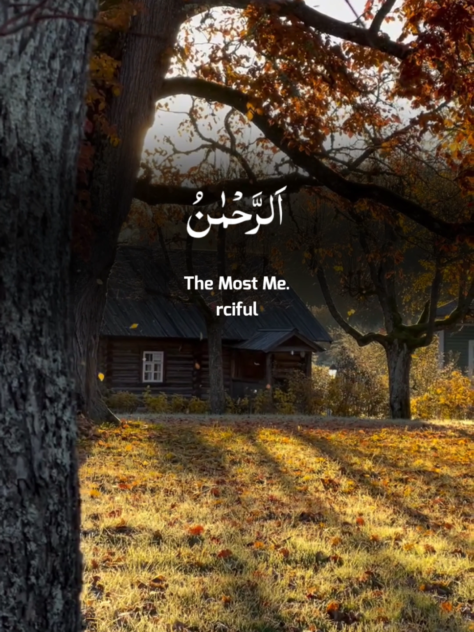 surah_Al_Rahman A beautiful Quran recitation Ahmad_Hezar #surahrahman #quran #tilawat #quranrecitation #islamic_video 