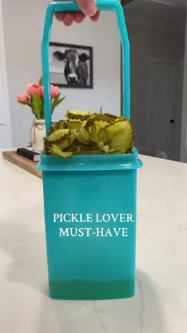 The perfect Christmas gift for your pickle lover friends and family!! 🥒  Linked below in the orange shopping cart! 🤭 #pickle #picklelover #musthave #kitchengadgets #KitchenHacks 