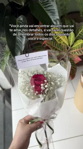 Você ainda vai encontra uma pessoa assim 🙌🏻 #floresnaturais 