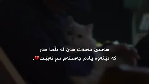 چەستەم سڕ ئەبێت💔. #momen_bemn4t #foryou #fypage #viral 