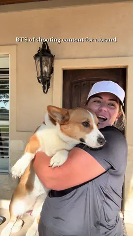 😂😂😂 #corgisoftiktok #corgi #dogmom #contentcreator 