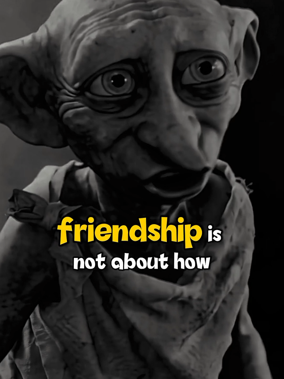 True Meaning of Friendship.... #dobby #dobbyharrypotter #qoutesoftheday #loyalty #dobby 