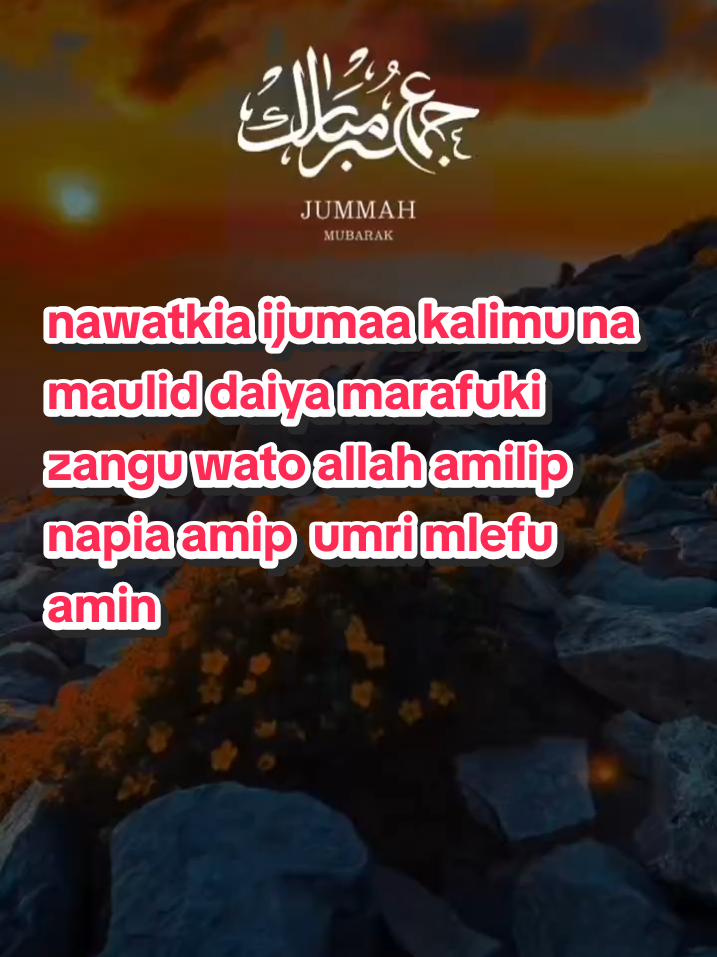 #creatorsearchinsights #allah #allah #allah jumua🙏🙏🙏🙏kariim