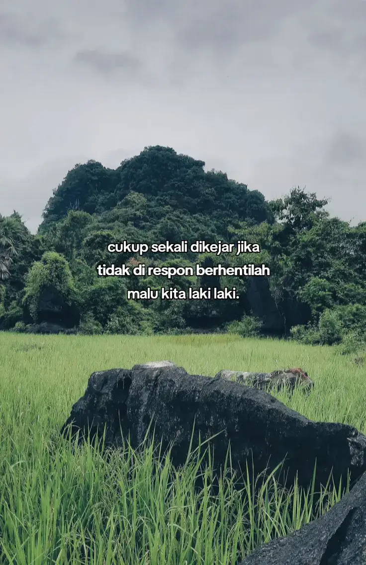 #galaubrutal #fyp 