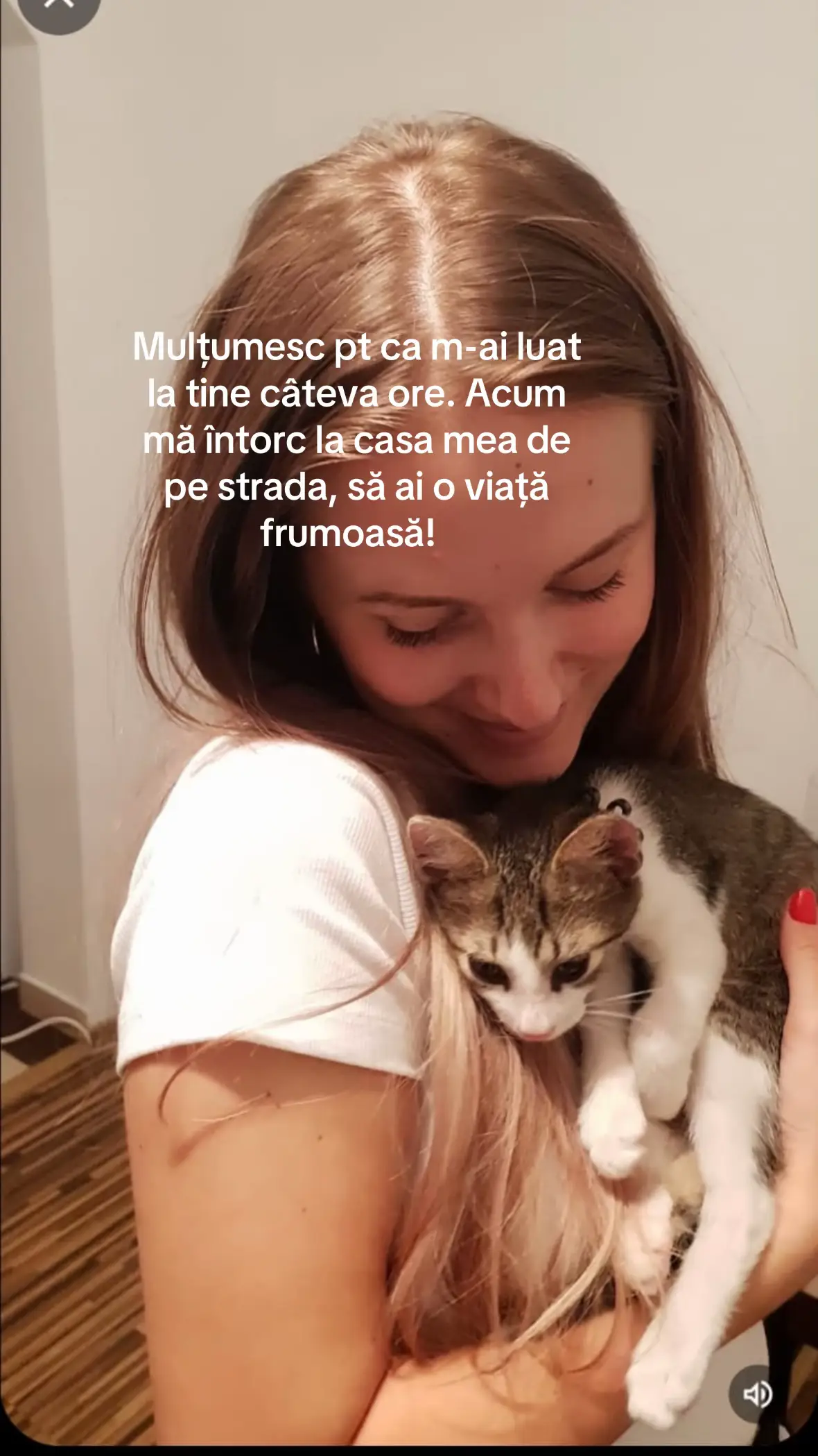 #pisici #youtoo #catrescue #catlover 