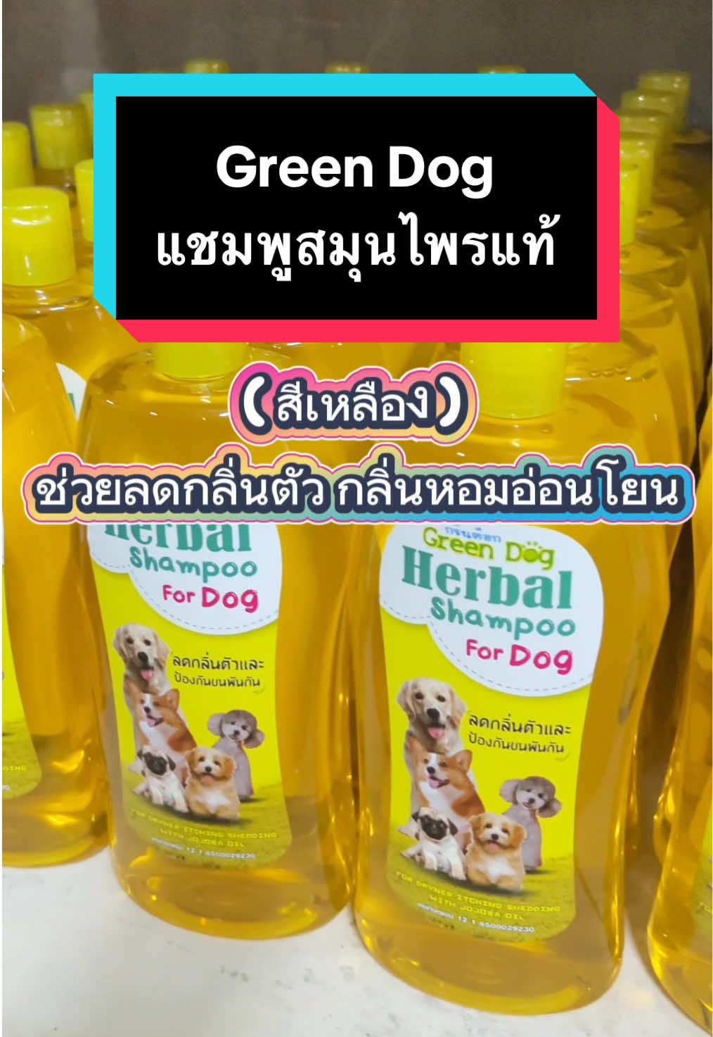#แชมพูอาบน้ําสุนัข #กรีนด็อก #แชมพูสำหรับสุนัข #สูตรอ่อยโยน #แชมพูสมุุนไพรสัตว์เลี้ยง 🦮✨