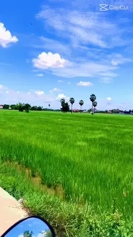 ទេសភាពស្អាតណាស់🥰🥰🥰