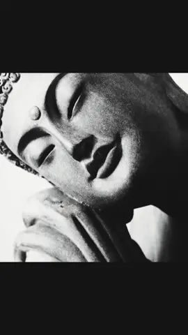 about peace  #moodboard #targetaudience #ancestors  #fyp #aesthetic 