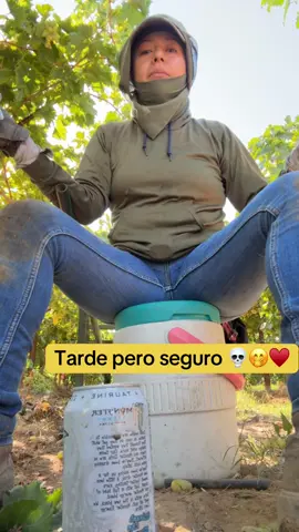#tatcha #tendencia #viral #trending #fyp 