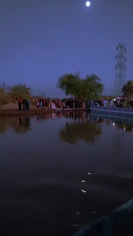 #جزيرة بدين 