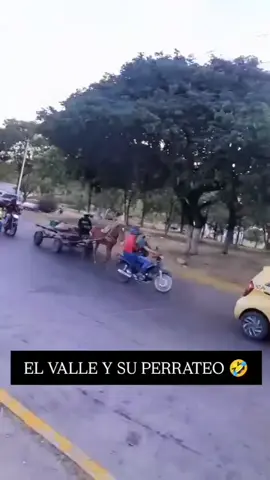 El valle es único
