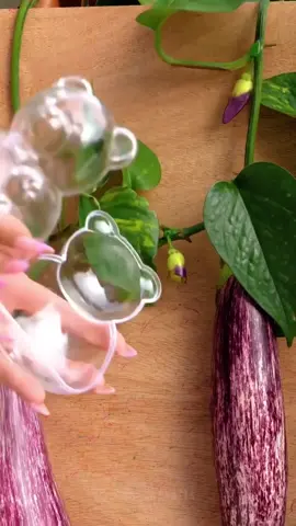 #creativevideo 