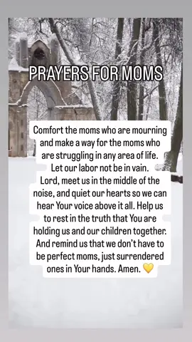 Send this prayer to a MOM in your life and pray this out loud over yourself as a mom. May we eat the fruits of our labor in Jesus name.🙏🏾 Every mom needs a community that understands you and your struggles, support you, and hold you up in prayers. Join GRACEFUL MOTHERS, our mom community where we do life together as godly moms.💕 #twinsandenny #prayerformoms #prayingmom #momcommunity #gracefulmom