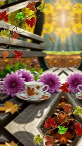 #CapCut #доброеутро #хорошегодня❤ 