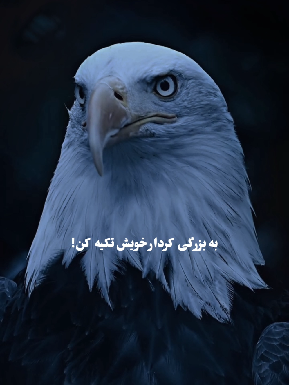 وقتی عقل راه را نشان نمی‌دهد، بزرگواری در عمل، چراغ راه توست.⚜️ #انگیزه #پیشرفت #انضباط #موفقیت #fyp 