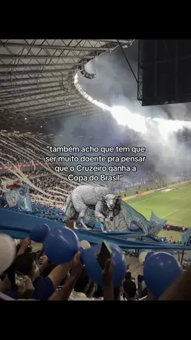 tô iludido não🤣 #cruzeiro #cruzeirocabuloso #copadobrasil 