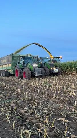Mais 2025🌽💨 #johndeere #fendt #landwirtschaft #fyp #agriculture 